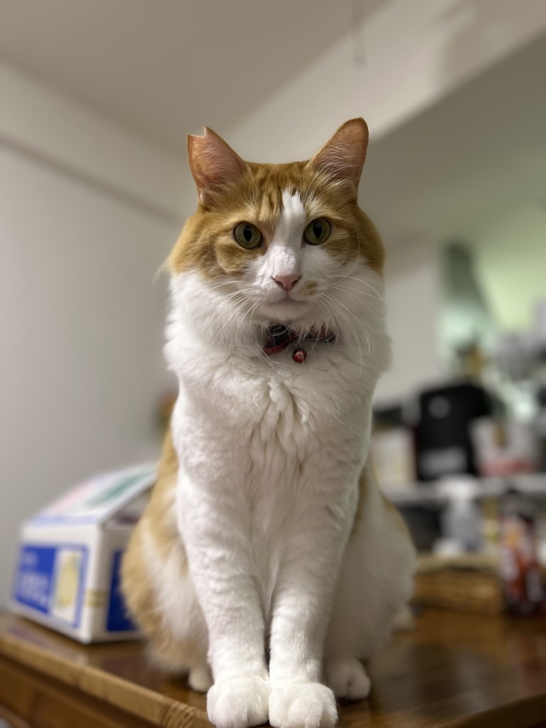 ユーザー写真