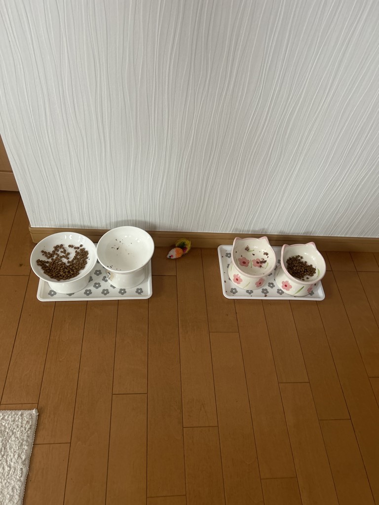 投稿写真