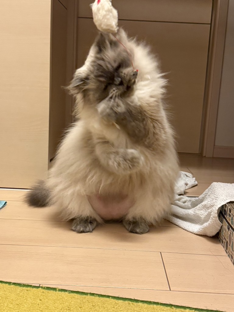 投稿写真