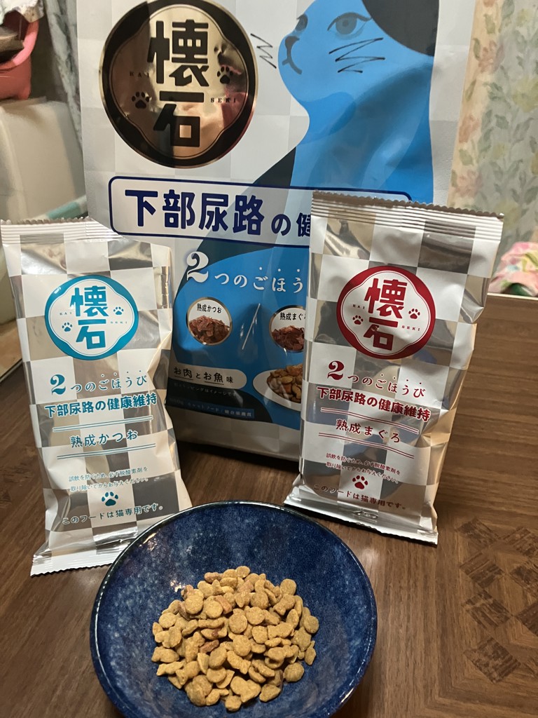 投稿写真