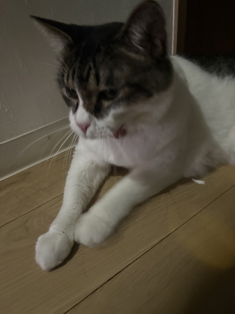 ユーザー写真