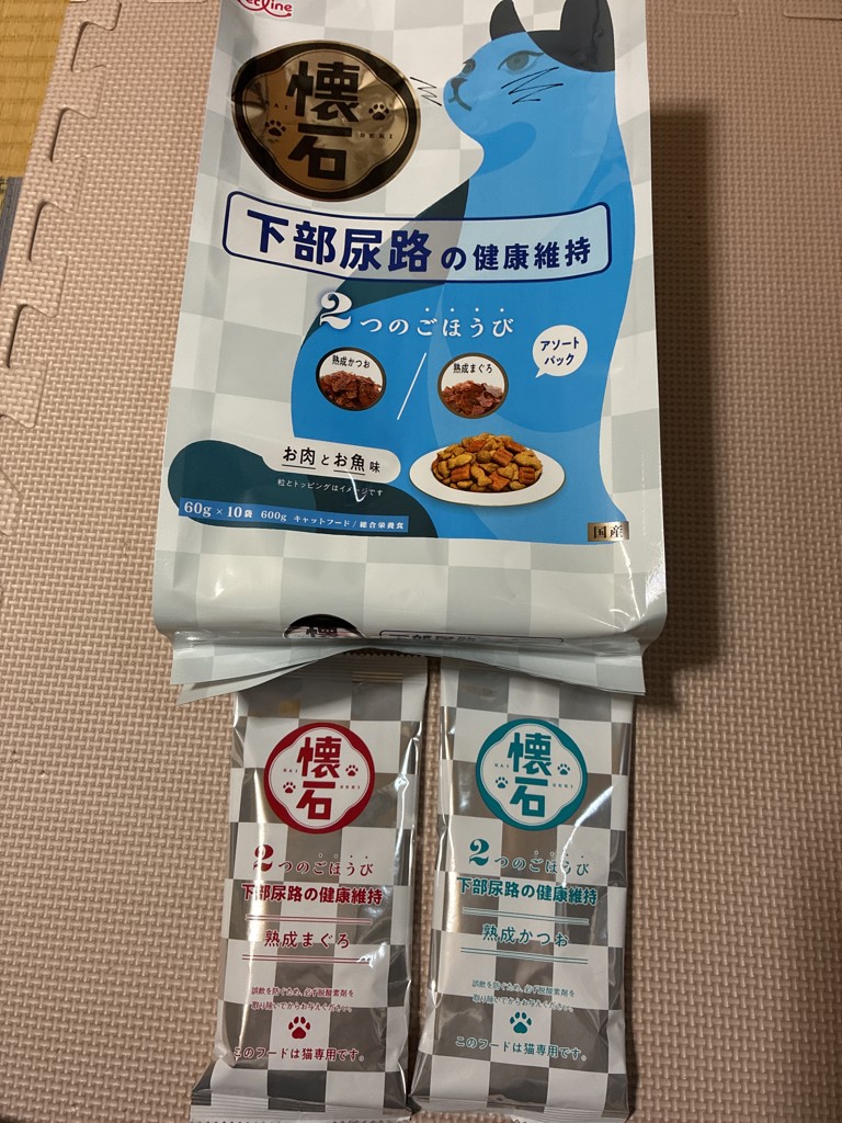 投稿写真