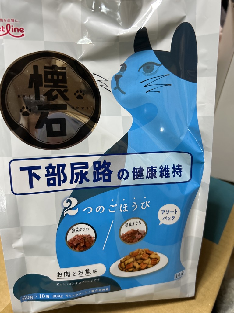 投稿写真