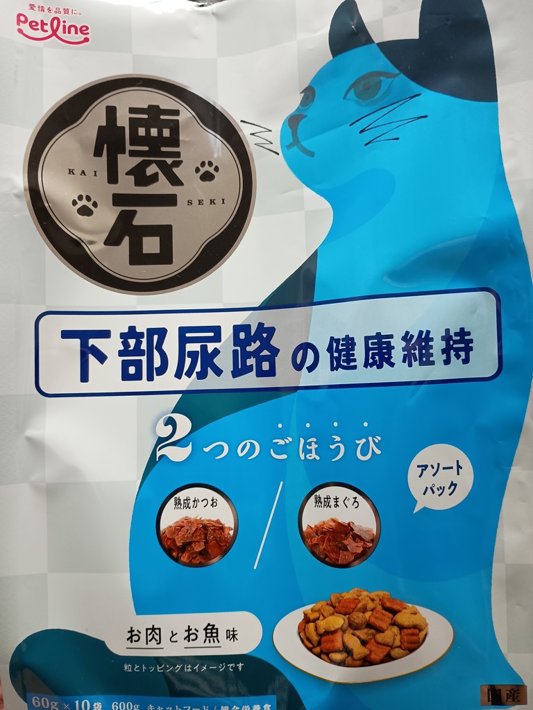 投稿写真