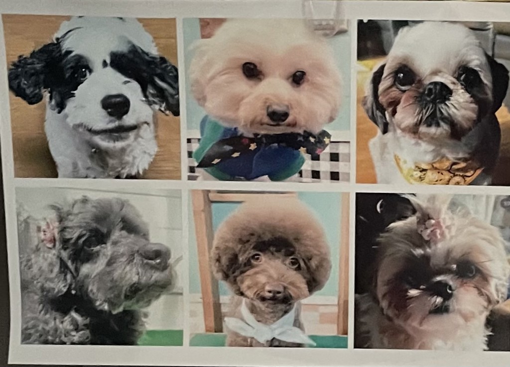 ユーザー写真