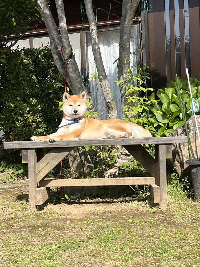 ユーザー写真