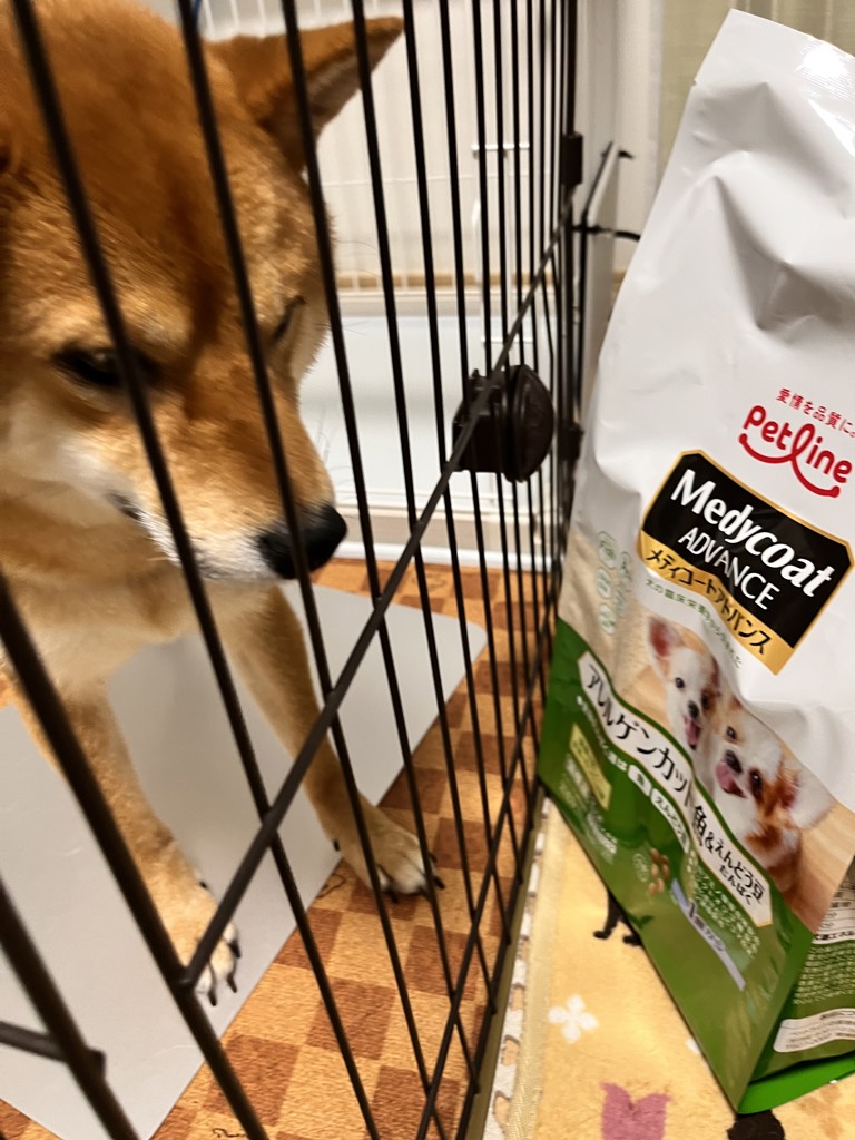 ユーザー写真