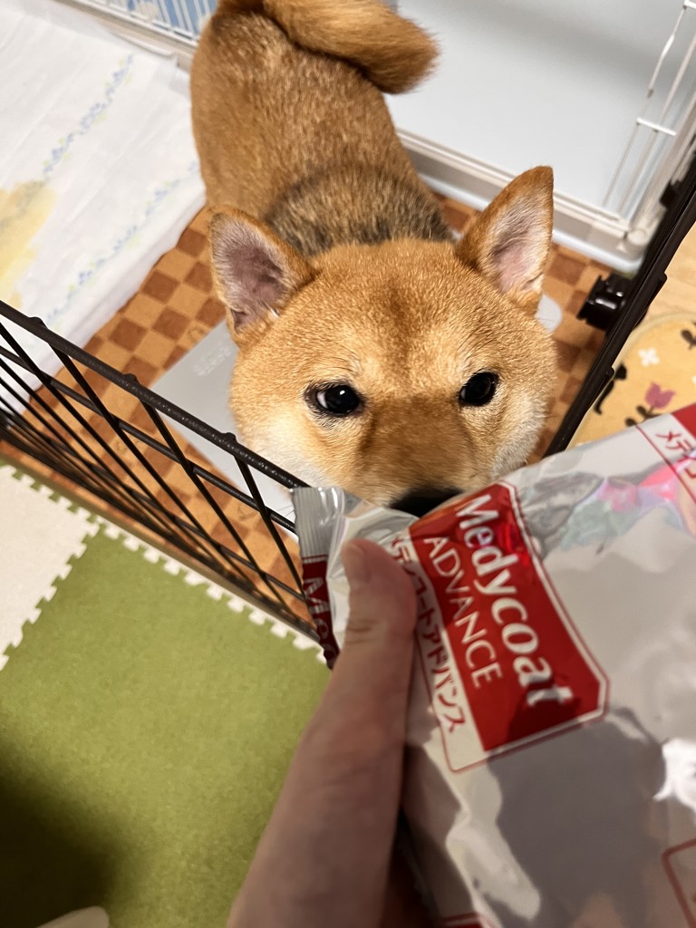 ユーザー写真