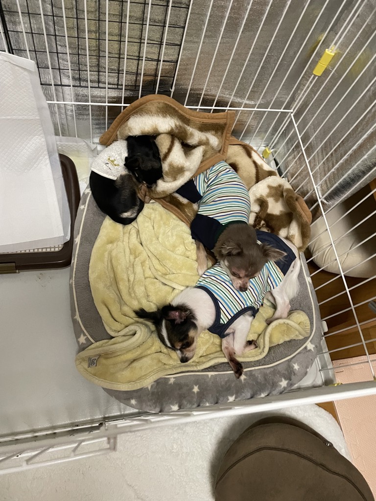 ユーザー写真