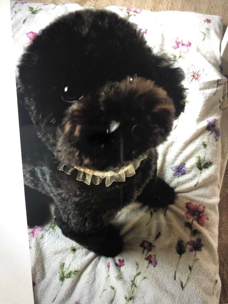 ユーザー写真