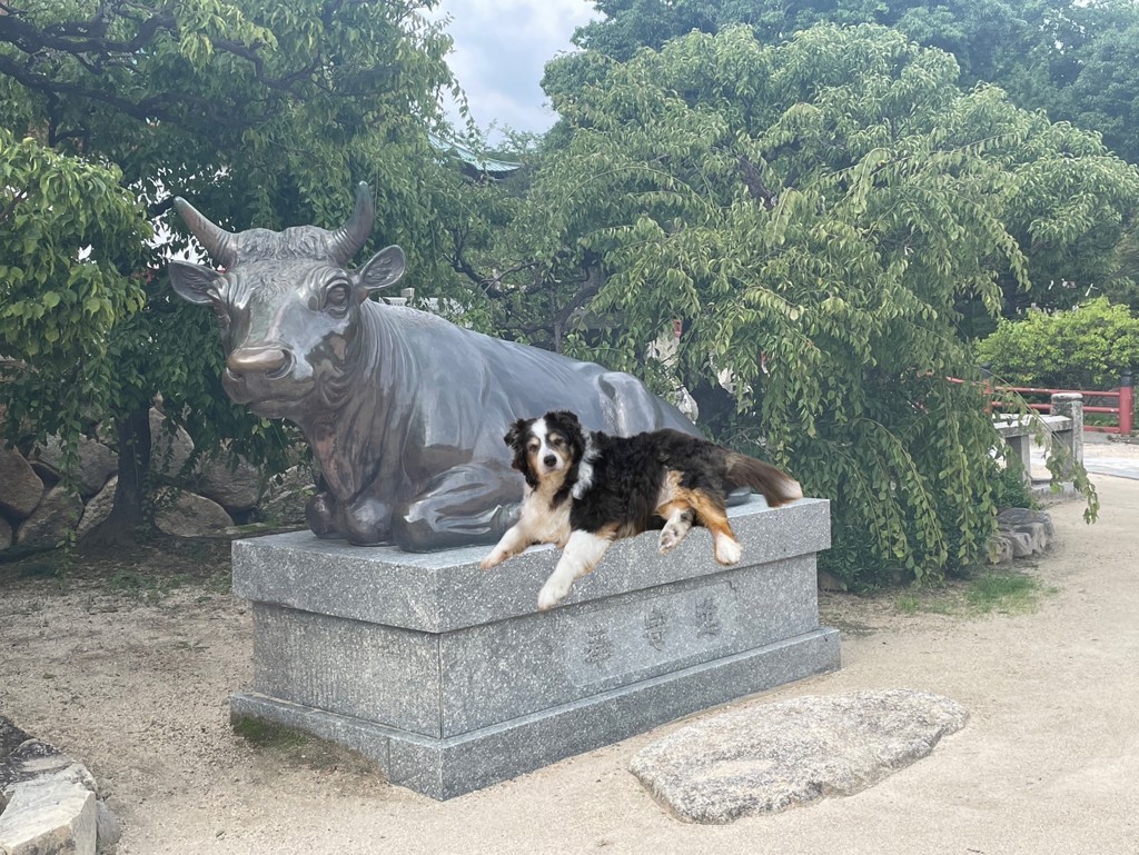 ユーザー写真
