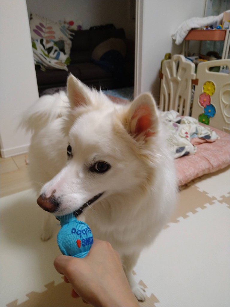 ユーザー写真