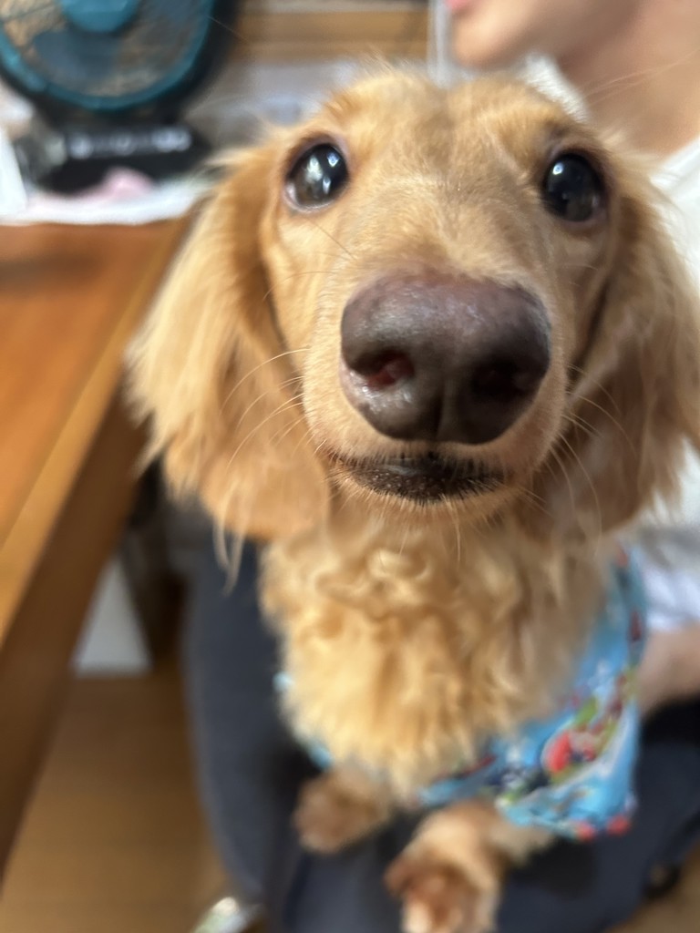 ユーザー写真