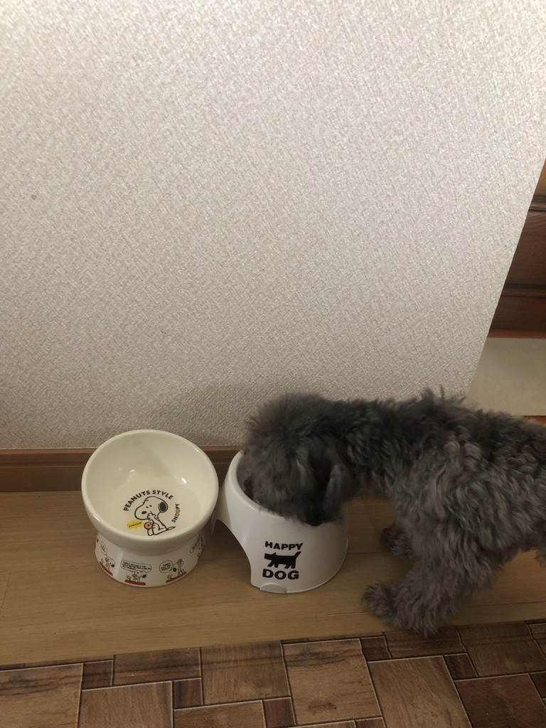 ユーザー写真