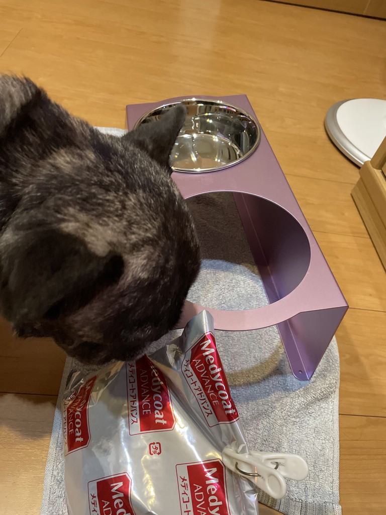 ユーザー写真