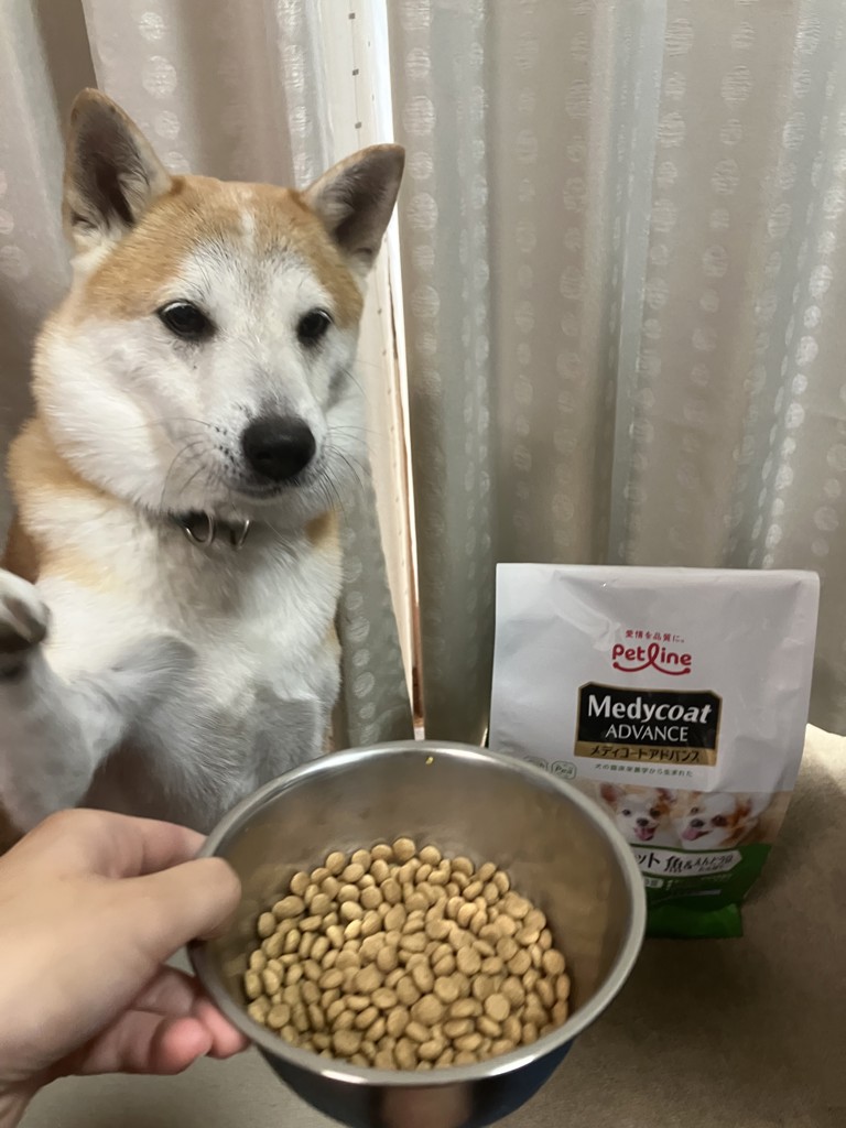 投稿写真
