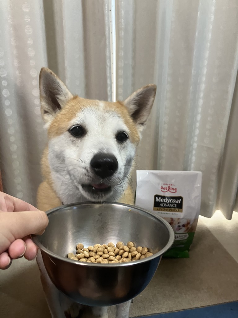 ユーザー写真
