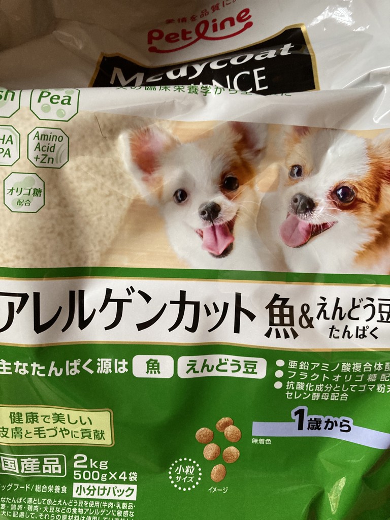 投稿写真