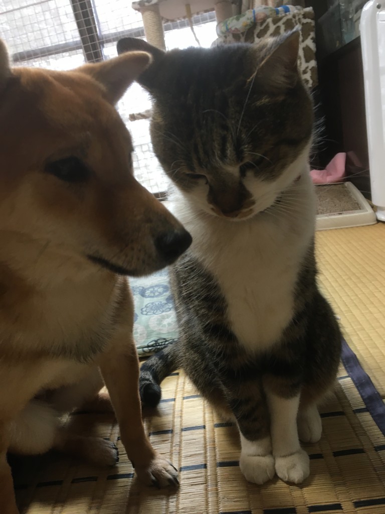 投稿写真