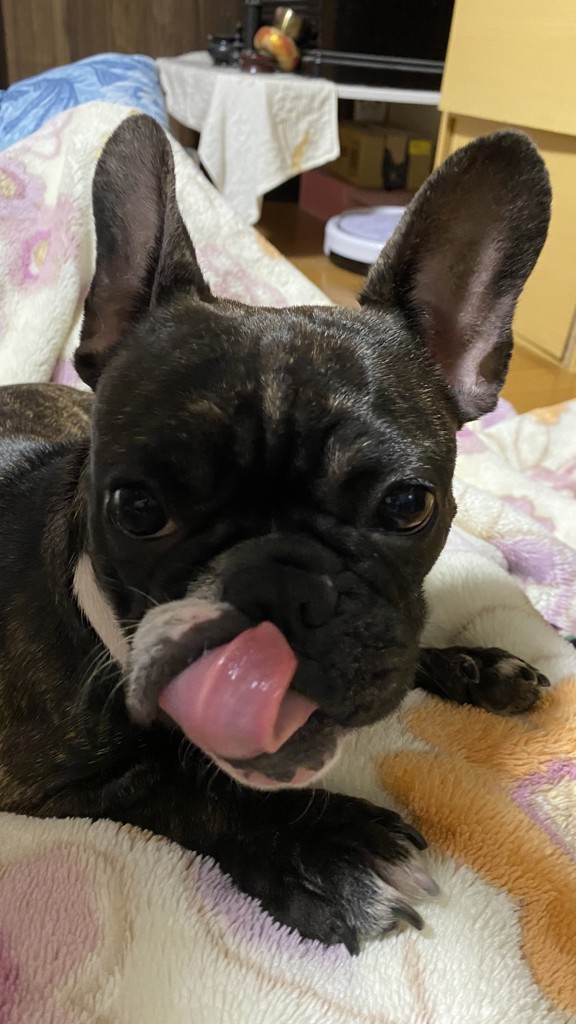 投稿写真