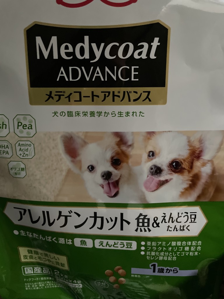 投稿写真