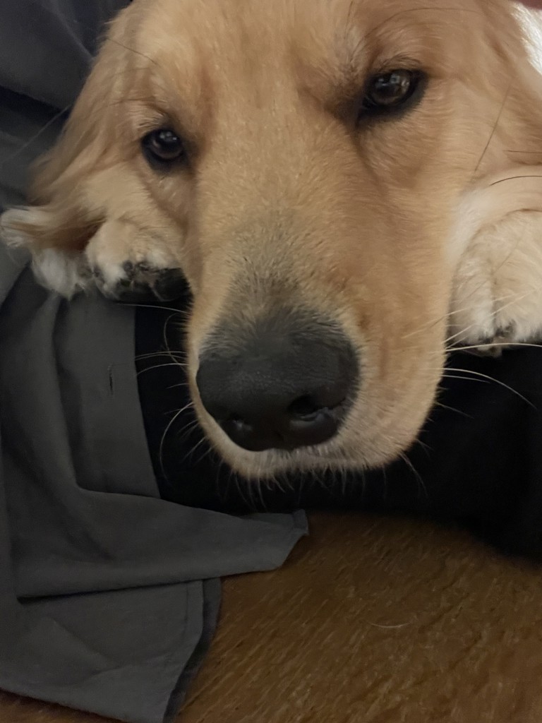 投稿写真