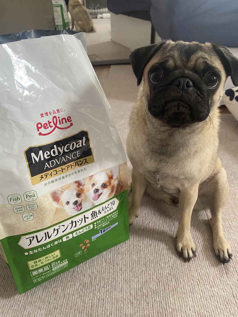 ユーザー写真