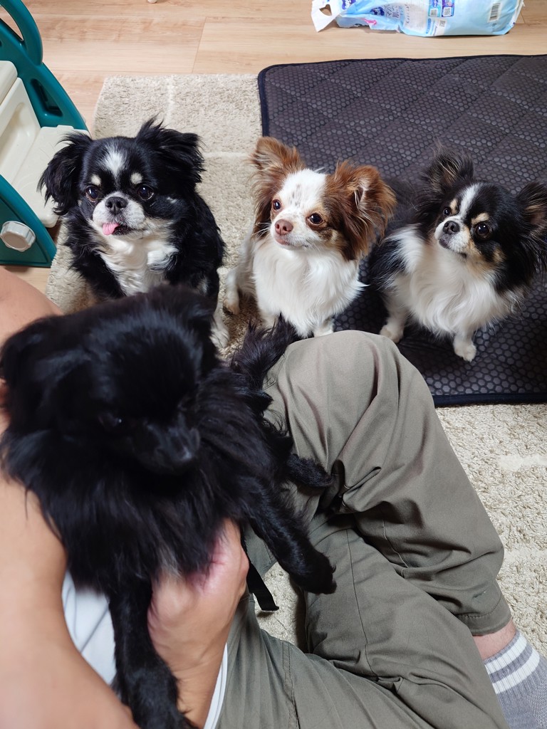 投稿写真