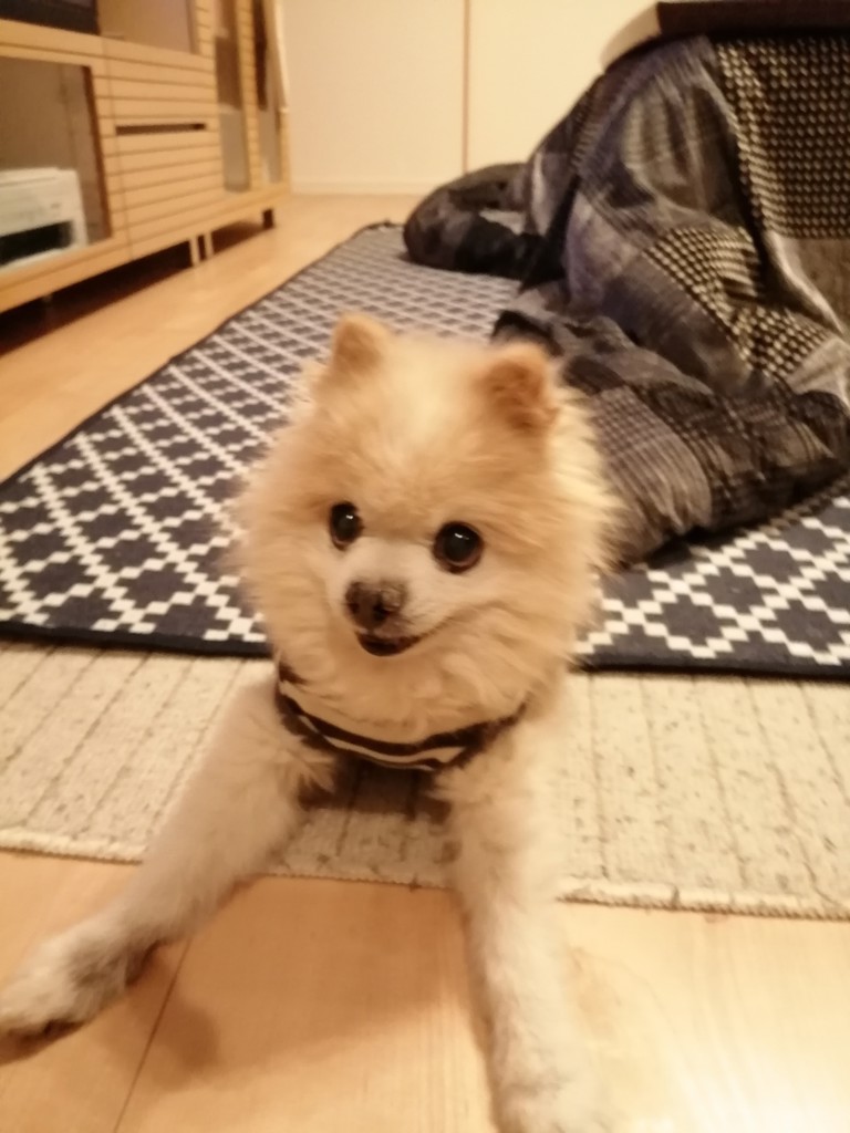 投稿写真