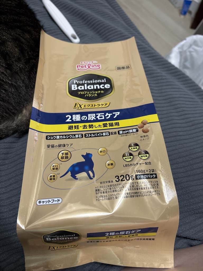 投稿写真