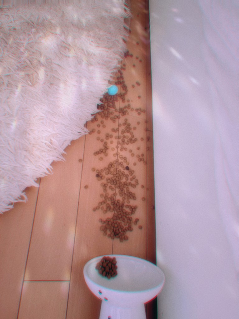 ユーザー写真