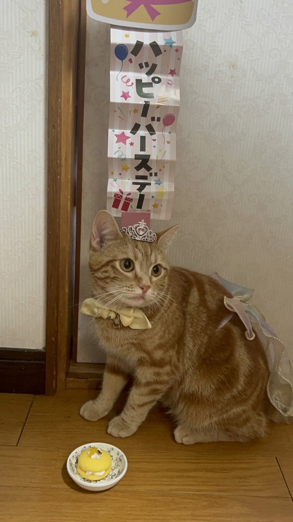 ユーザー写真
