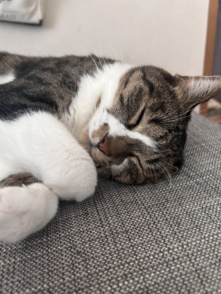 ユーザー写真
