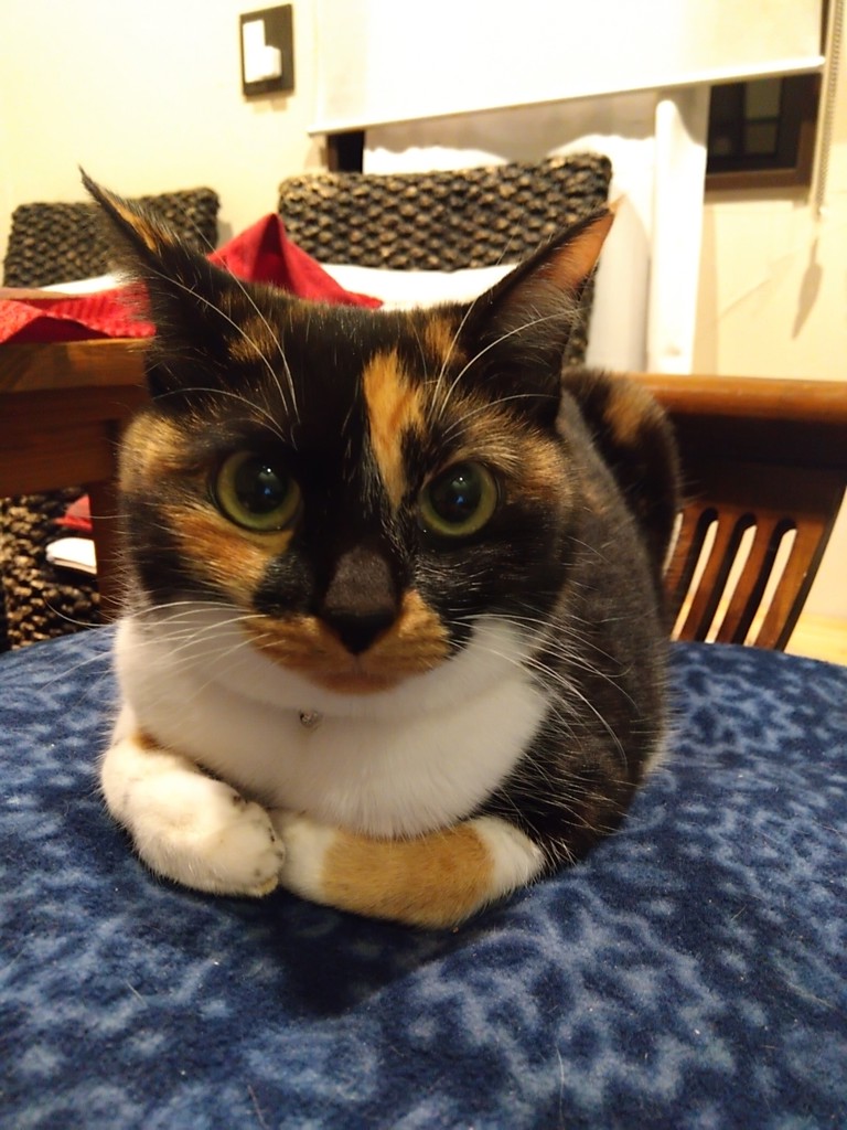 ユーザー写真