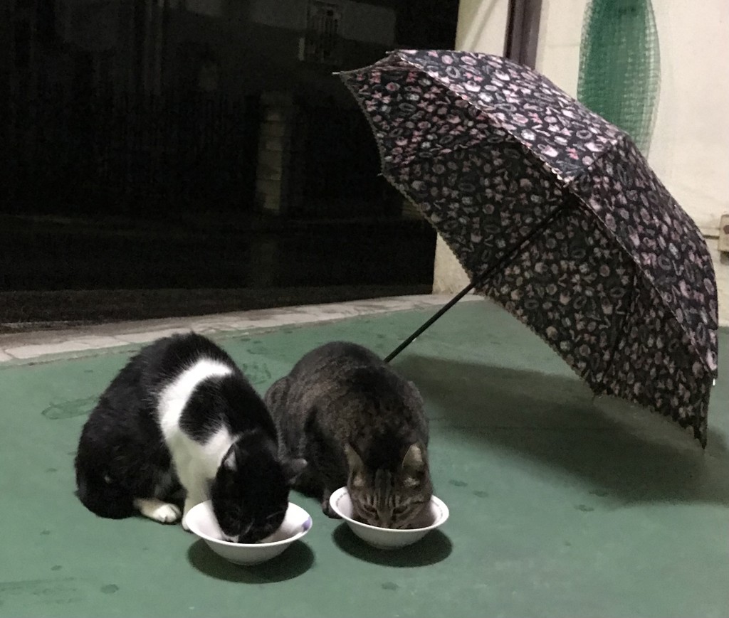 ユーザー写真