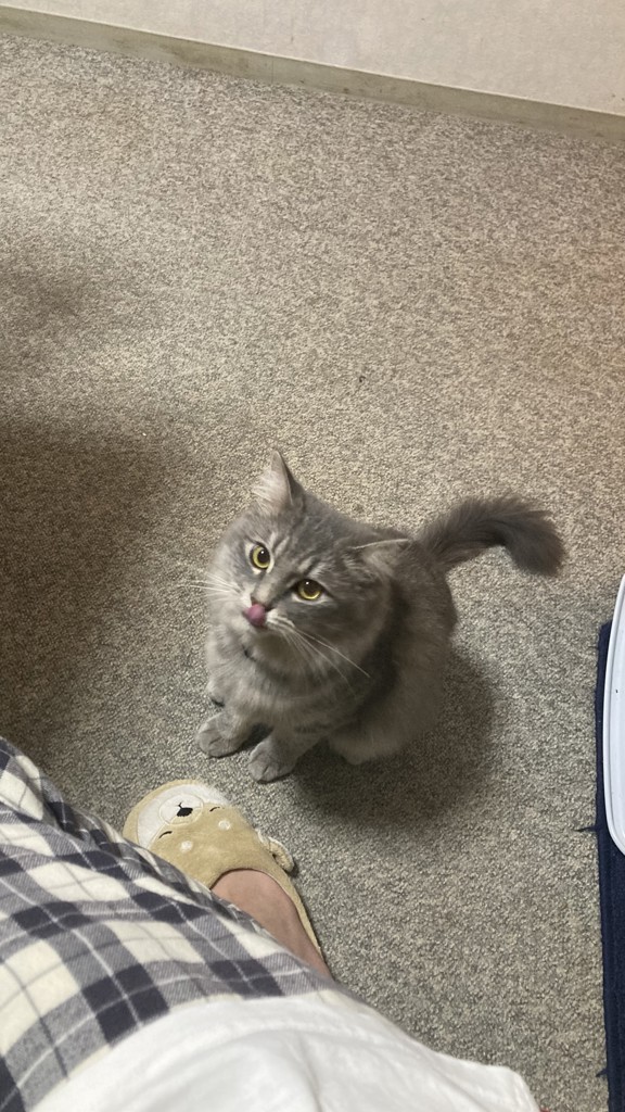 ユーザー写真