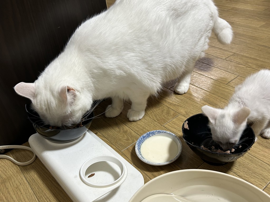 ユーザー写真