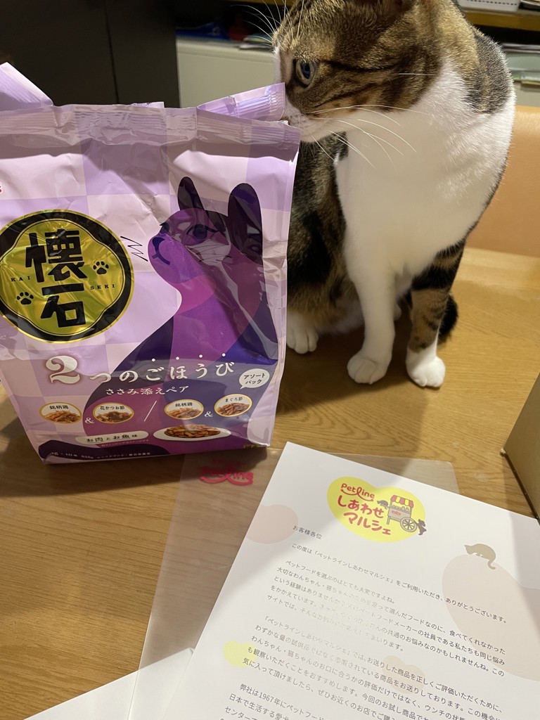 ユーザー写真
