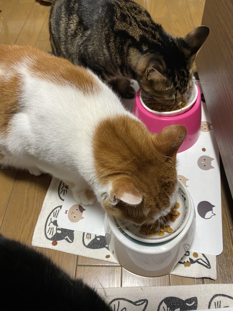 投稿写真