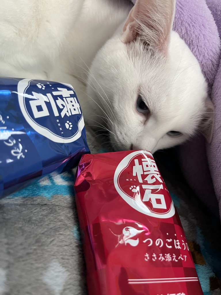 投稿写真