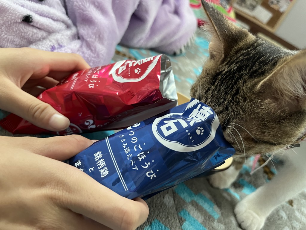 投稿写真