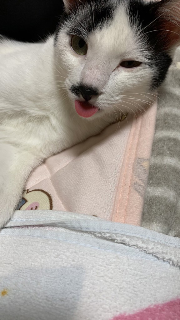 投稿写真