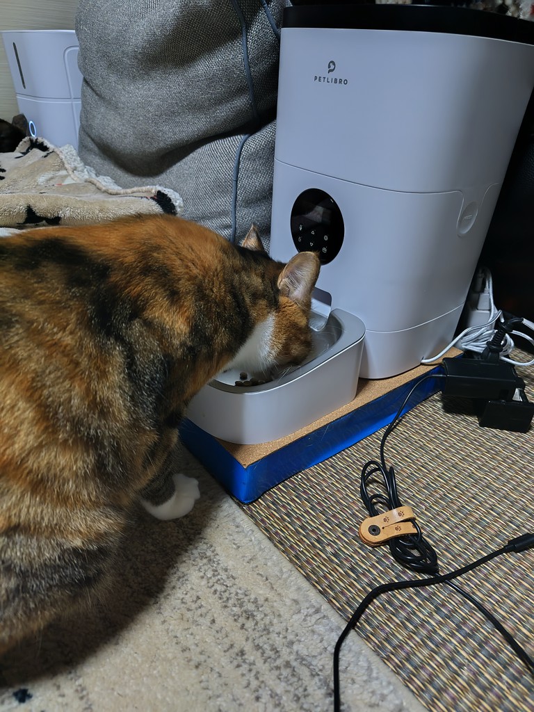投稿写真