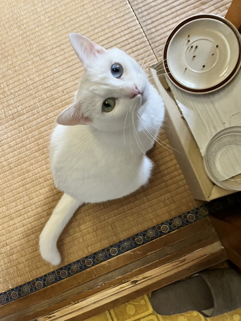 ユーザー写真