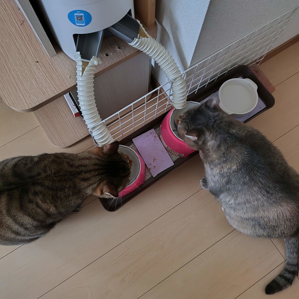 ユーザー写真