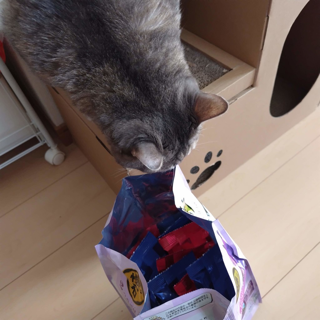 ユーザー写真