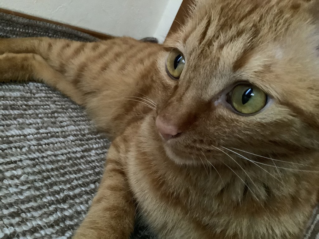 ユーザー写真