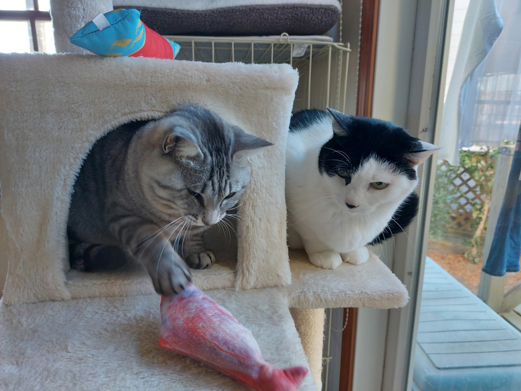 ユーザー写真