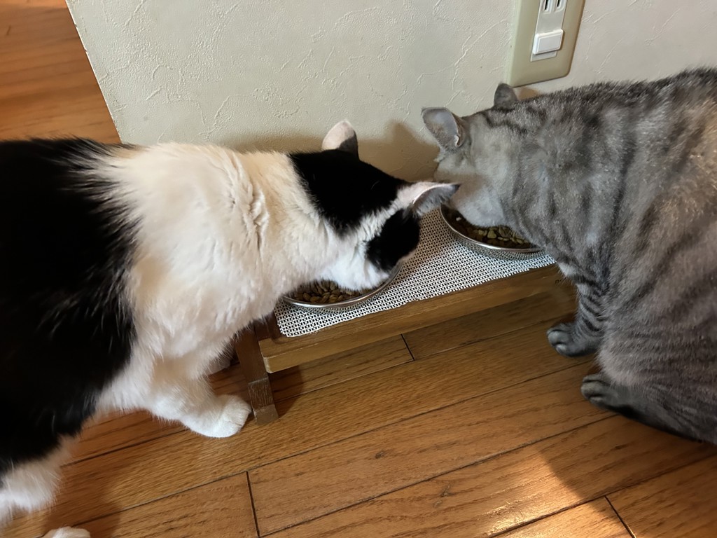 ユーザー写真