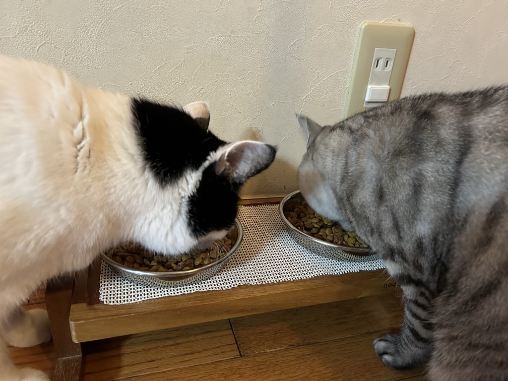ユーザー写真